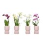product-282227-1791395314-SIL03-0000042^2